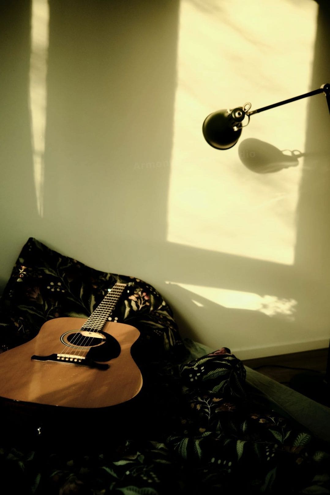 Armonía Guitar Studio 2